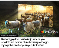 Samsung QE85QN900AT Neo QLED 8K DVB-T2 HEVC - 1384649 - zdjęcie 8